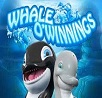 Whale O’Winnings Slot