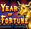Year of Fortune Slot