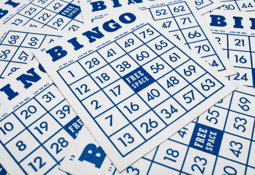 best bingo terms usa