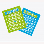 bingo rules usa