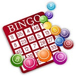 bingo terms usa