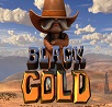 Black Gold Slot Review 