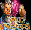Wild Wizards Slot