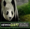 Untamed Giant Panda Slot Review
