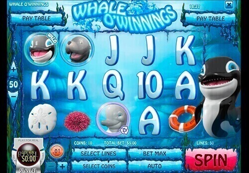 whale o winnings