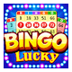 Bingo Lucky 