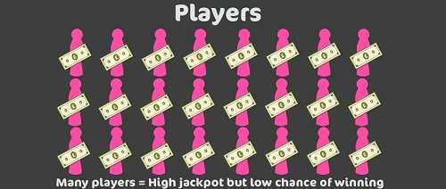Best Online Bingo Odds Guide