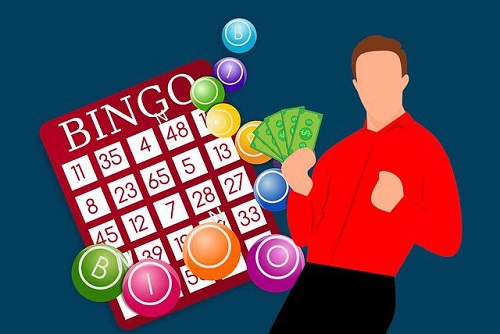 best bingo software