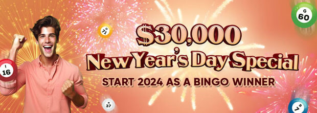 cyberbingos new years day special